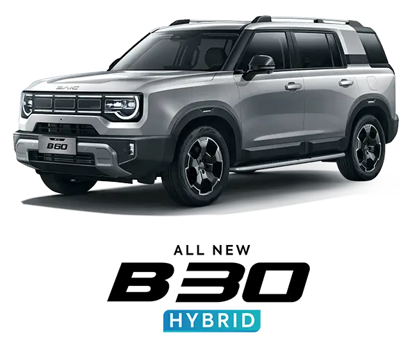 thumb-baic-b30